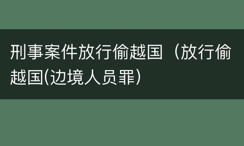 刑事案件放行偷越国（放行偷越国(边境人员罪）