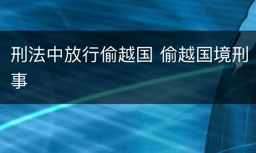 刑法中放行偷越国 偷越国境刑事
