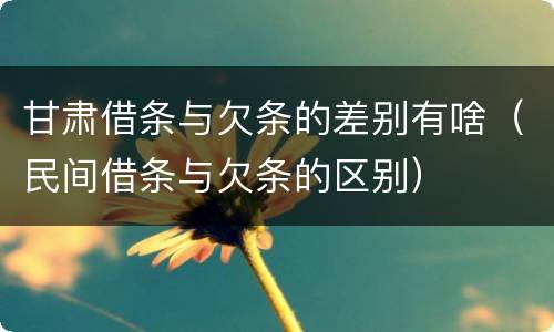 甘肃借条与欠条的差别有啥（民间借条与欠条的区别）