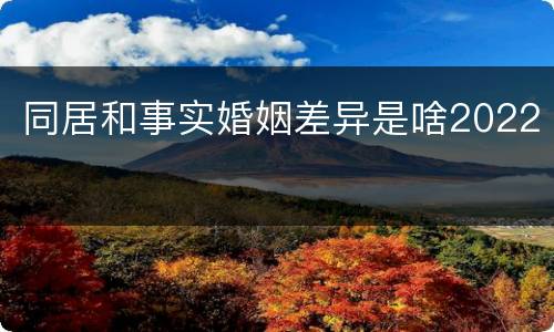 同居和事实婚姻差异是啥2022