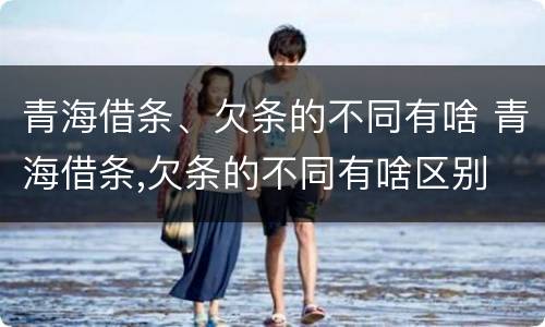 青海借条、欠条的不同有啥 青海借条,欠条的不同有啥区别