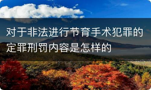 对于非法进行节育手术犯罪的定罪刑罚内容是怎样的