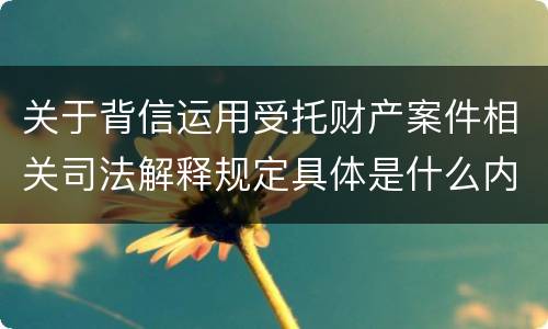 关于背信运用受托财产案件相关司法解释规定具体是什么内容