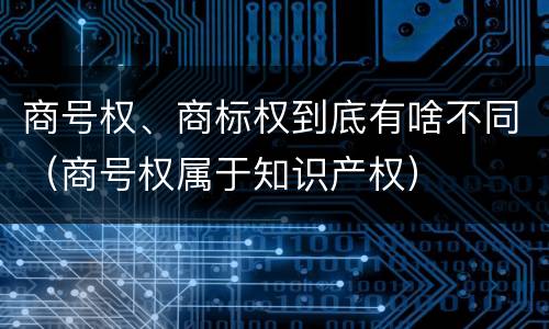 商号权、商标权到底有啥不同（商号权属于知识产权）