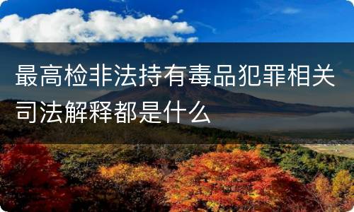最高检非法持有毒品犯罪相关司法解释都是什么