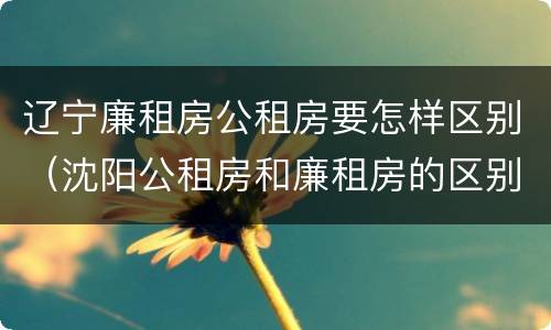 辽宁廉租房公租房要怎样区别（沈阳公租房和廉租房的区别）