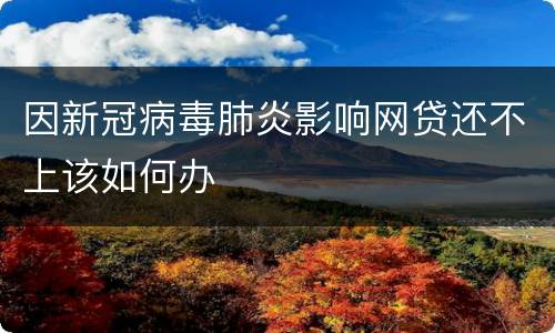 因新冠病毒肺炎影响网贷还不上该如何办