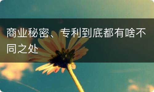 商业秘密、专利到底都有啥不同之处