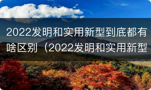 2022发明和实用新型到底都有啥区别（2022发明和实用新型到底都有啥区别呢）