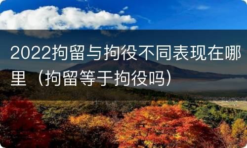 2022拘留与拘役不同表现在哪里（拘留等于拘役吗）