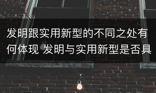 发明跟实用新型的不同之处有何体现 发明与实用新型是否具有实用性