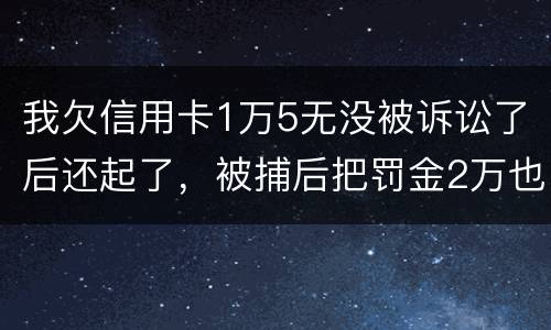 我欠信用卡1万5无没被诉讼了后还起了，被捕后把罚金2万也给了，什么时候放人呀