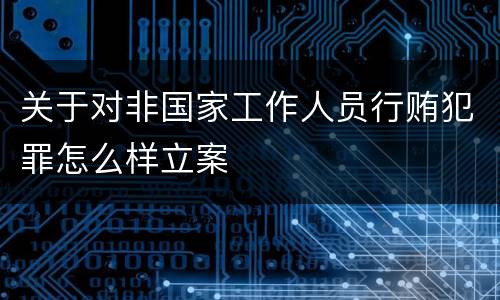 关于对非国家工作人员行贿犯罪怎么样立案