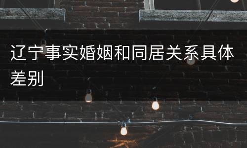 辽宁事实婚姻和同居关系具体差别