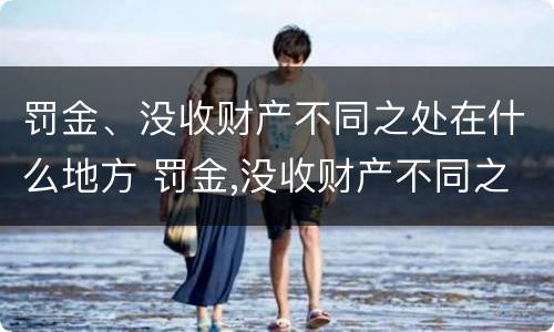罚金、没收财产不同之处在什么地方 罚金,没收财产不同之处在什么地方执行