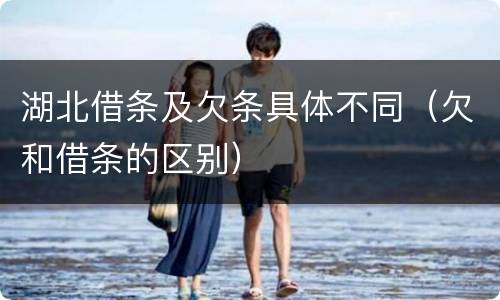 湖北借条及欠条具体不同（欠和借条的区别）