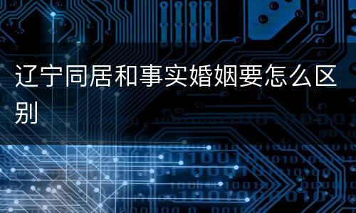 辽宁同居和事实婚姻要怎么区别