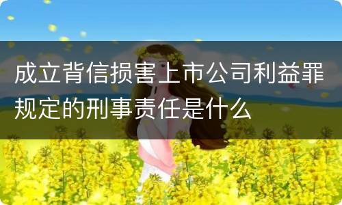 成立背信损害上市公司利益罪规定的刑事责任是什么
