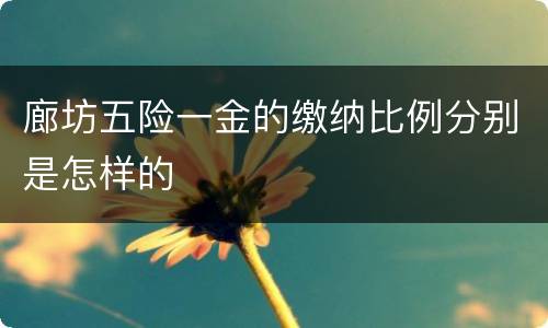 廊坊五险一金的缴纳比例分别是怎样的