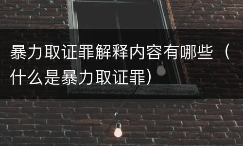 暴力取证罪解释内容有哪些（什么是暴力取证罪）