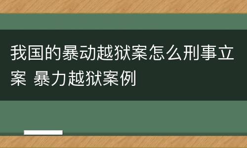 我国的暴动越狱案怎么刑事立案 暴力越狱案例