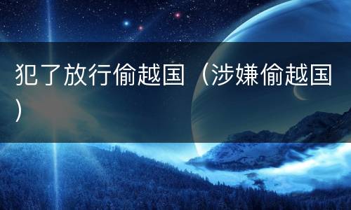 犯了放行偷越国（涉嫌偷越国）