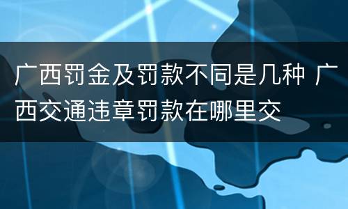 广西罚金及罚款不同是几种 广西交通违章罚款在哪里交