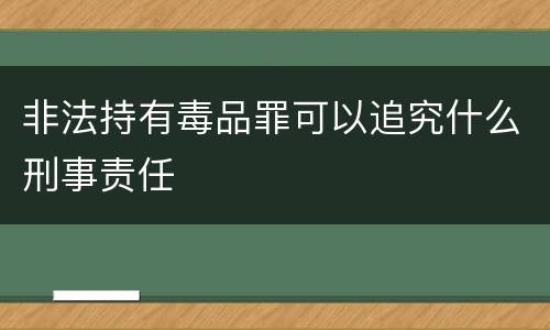 非法持有毒品罪可以追究什么刑事责任