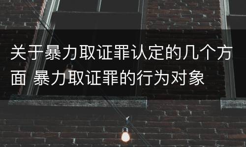 关于暴力取证罪认定的几个方面 暴力取证罪的行为对象