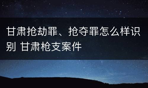 甘肃抢劫罪、抢夺罪怎么样识别 甘肃枪支案件