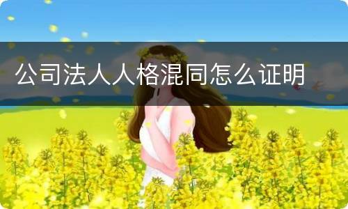 公司法人人格混同怎么证明