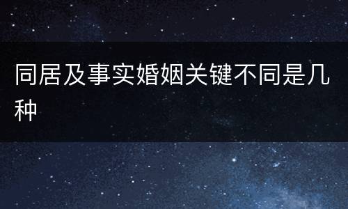 同居及事实婚姻关键不同是几种