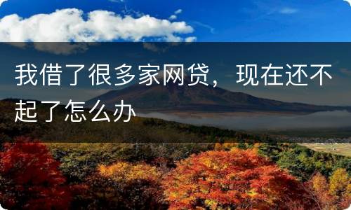 我借了很多家网贷，现在还不起了怎么办
