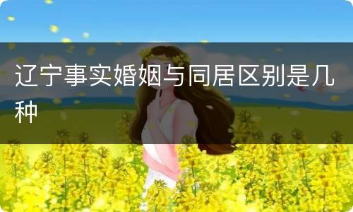 辽宁事实婚姻与同居区别是几种