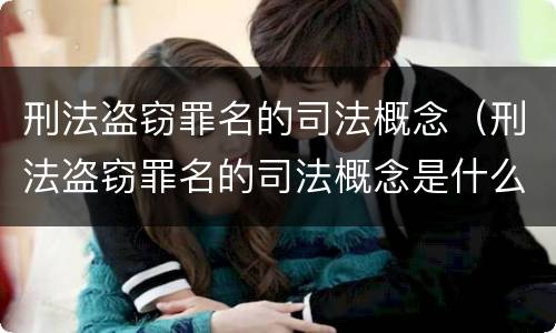 刑法盗窃罪名的司法概念（刑法盗窃罪名的司法概念是什么）
