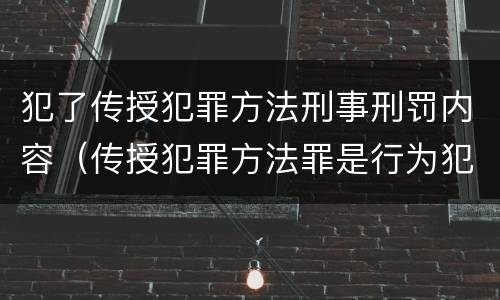 犯了传授犯罪方法刑事刑罚内容（传授犯罪方法罪是行为犯）