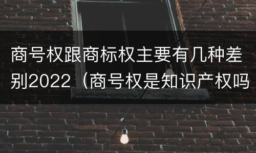 商号权跟商标权主要有几种差别2022（商号权是知识产权吗）