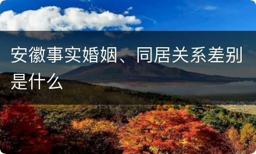 安徽事实婚姻、同居关系差别是什么