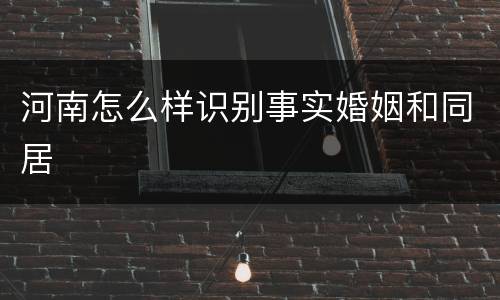 河南怎么样识别事实婚姻和同居