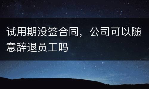 试用期没签合同，公司可以随意辞退员工吗