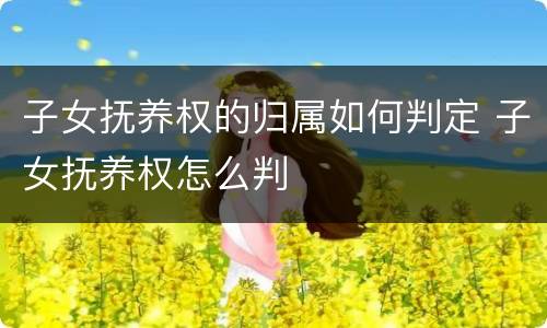 子女抚养权的归属如何判定 子女抚养权怎么判