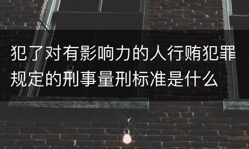犯了对有影响力的人行贿犯罪规定的刑事量刑标准是什么