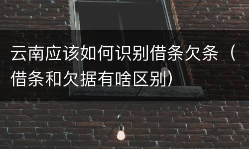 云南应该如何识别借条欠条（借条和欠据有啥区别）