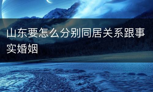 山东要怎么分别同居关系跟事实婚姻