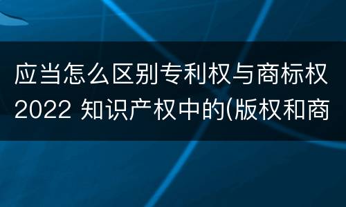 应当怎么区别专利权与商标权2022 知识产权中的(版权和商标权与标准
