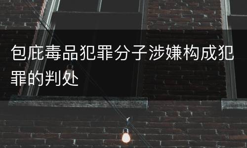 包庇毒品犯罪分子涉嫌构成犯罪的判处