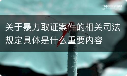 关于暴力取证案件的相关司法规定具体是什么重要内容