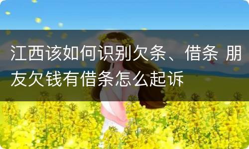 江西该如何识别欠条、借条 朋友欠钱有借条怎么起诉