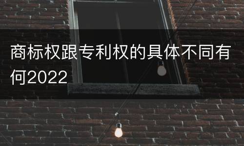 商标权跟专利权的具体不同有何2022