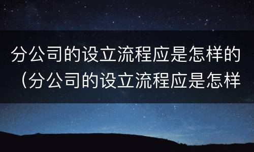 分公司的设立流程应是怎样的（分公司的设立流程应是怎样的工作）